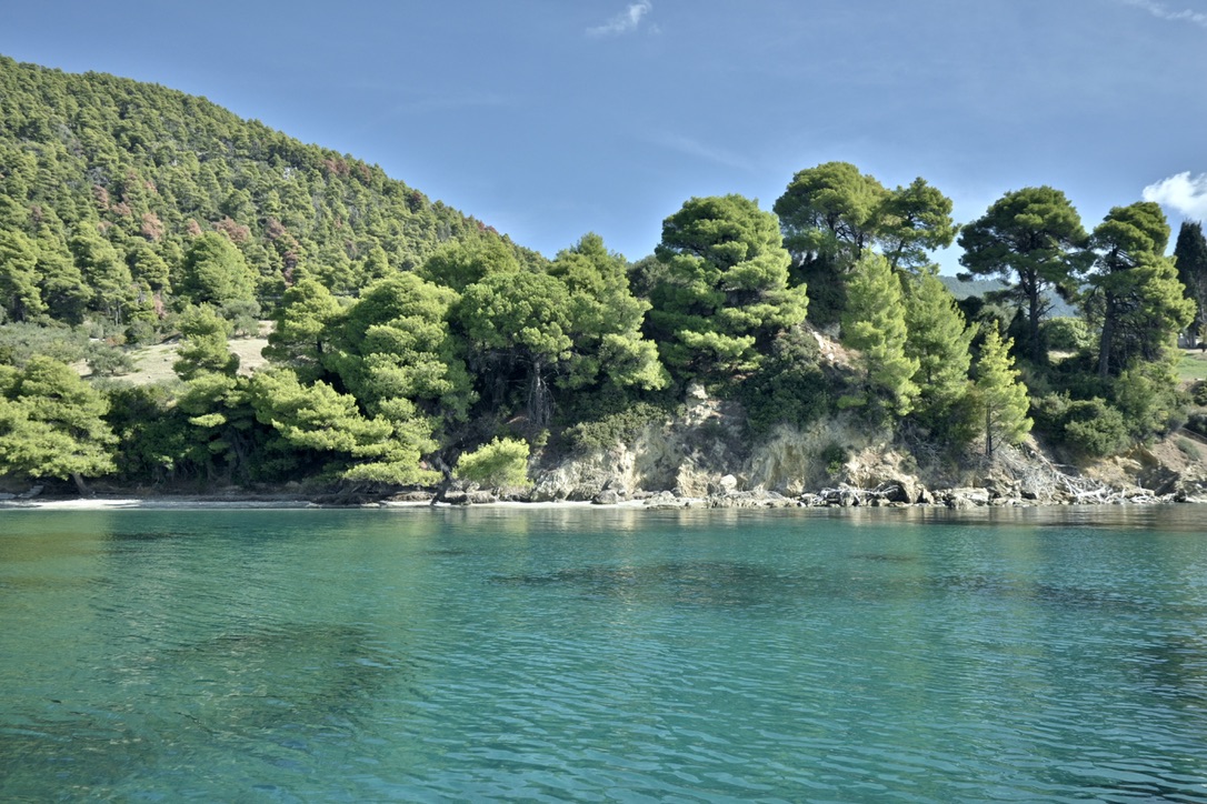 skiathosboathire,skiathostour,skiathosboattour,boattour,boatrental,skiathosboatrental,skiathosrentboat,skiathosboats,skiathosboathire,boathire,skiathosrentalboats,skiathos,skiathosisland,skiathosboattrips,boattrips,priveboattrips,boathireskiathos,rentboatskiathos,skiathostrips,boatsskiathos,boats,skiathosisland,boathire,boathireskiathos,rentalboats,skiathosrentalboats,tripsskiathos,privetrips,boatsskiathos,boathireskiathos,skiathosboathire,greece,greekislands,lalaria,lalariabeach,beachlalaria,tsougriaislans,islandtsougria,arkosisland,diamondbeach,beachdiamont,skiathoslalaria,skiathoslalariabeach